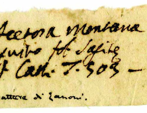  Contributo “Rinvenimento e catalogazione di un erbario di Giacomo Zanoni presso i Musei Civici di Reggio Emilia” di Cristofolini 